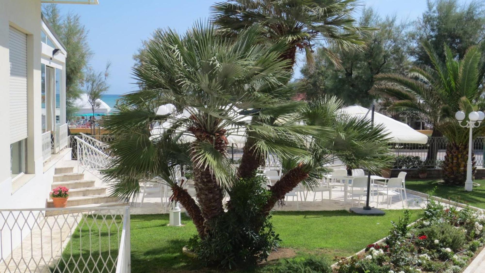 Hotel Majestic Senigallia Esterno foto